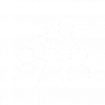 Conoce a tu audiencia